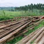 operanews1763828179769